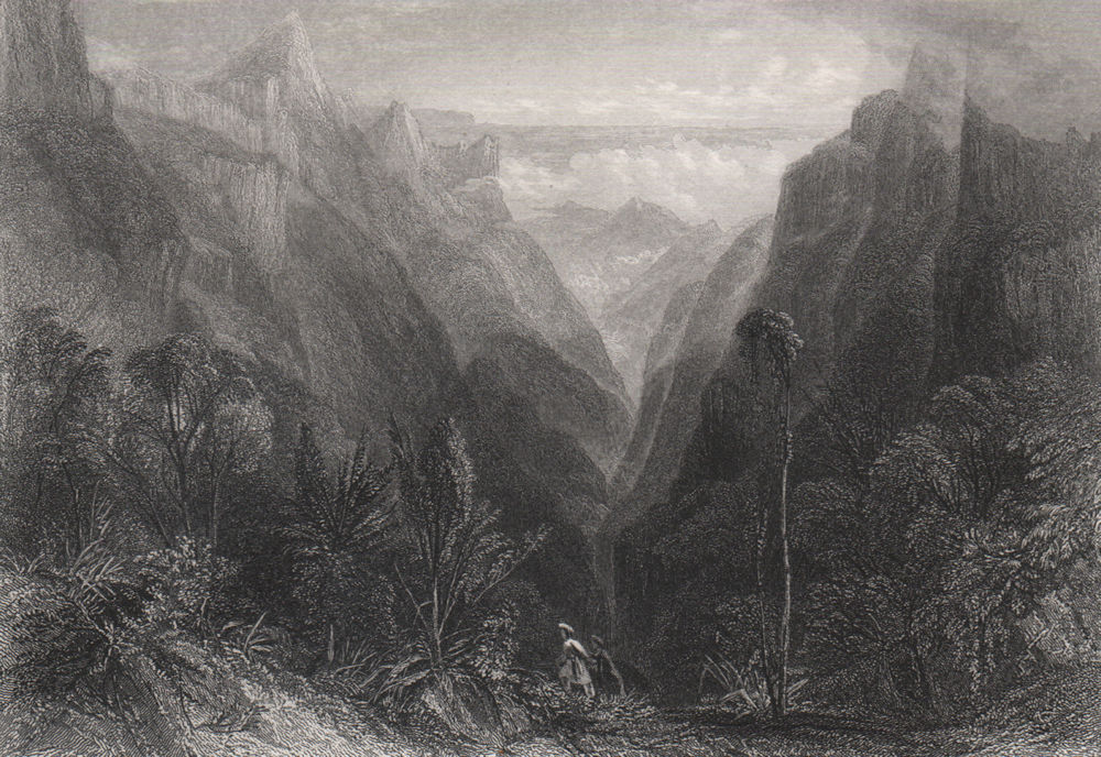 Kooner pass, Nilgiri Mountains. India 1886 old antique vintage print picture