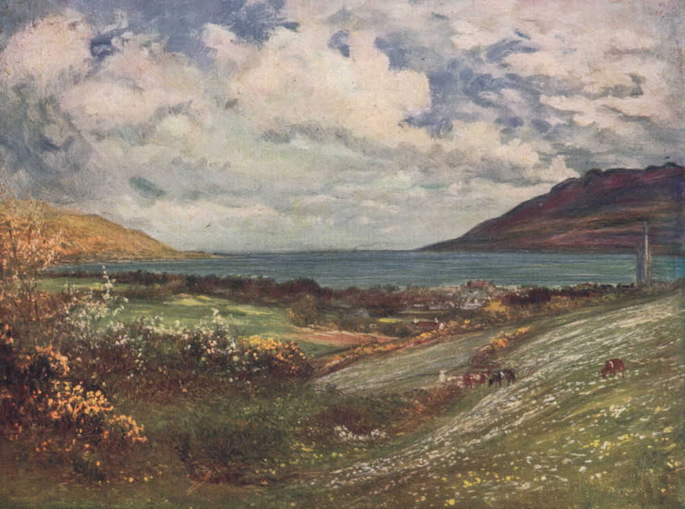 'Carlingford Lough' by Francis Sylvester Walker. Ireland 1905 old print