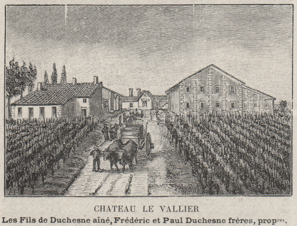 Associate Product MÉDOC. PAREMPUYRE. Chateau le Vallier. Duchesne. Bordeaux. SMALL 1908 print
