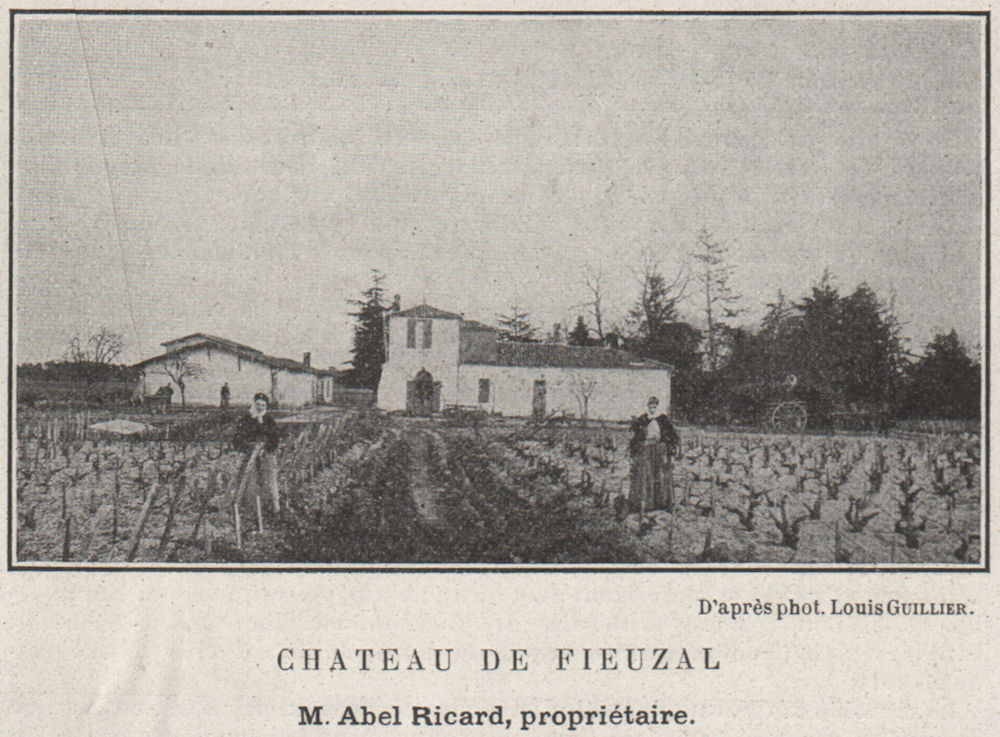 GRAVES. LÉOGNAN. Chateau de Fieuzal. Ricard. Bordeaux. SMALL 1908 old print