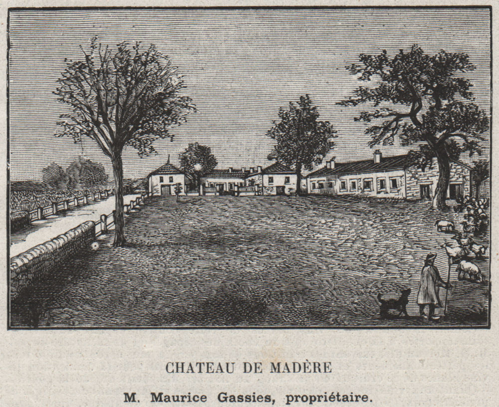 GRAVES. PODENSAC. Chateau de Madére. Gassies. Bordeaux. SMALL 1908 old print