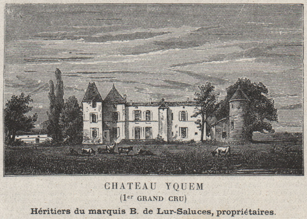 GRANDS VINS BLANCS. SAUTERNES. Chateau Yquem (1er Grand Cru). SMALL 1908 print