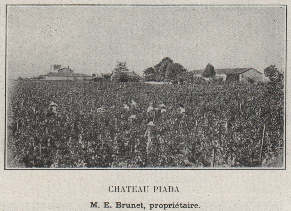 GRANDS VINS BLANCS. BARSAC. Chateau Piada. Brunet. Bordeaux. SMALL 1908 print