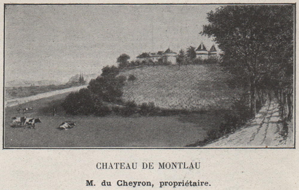 CANTON DE BRANNE. MOULON. Chateau de Montlau. Cheyron. Bordeaux. SMALL 1908