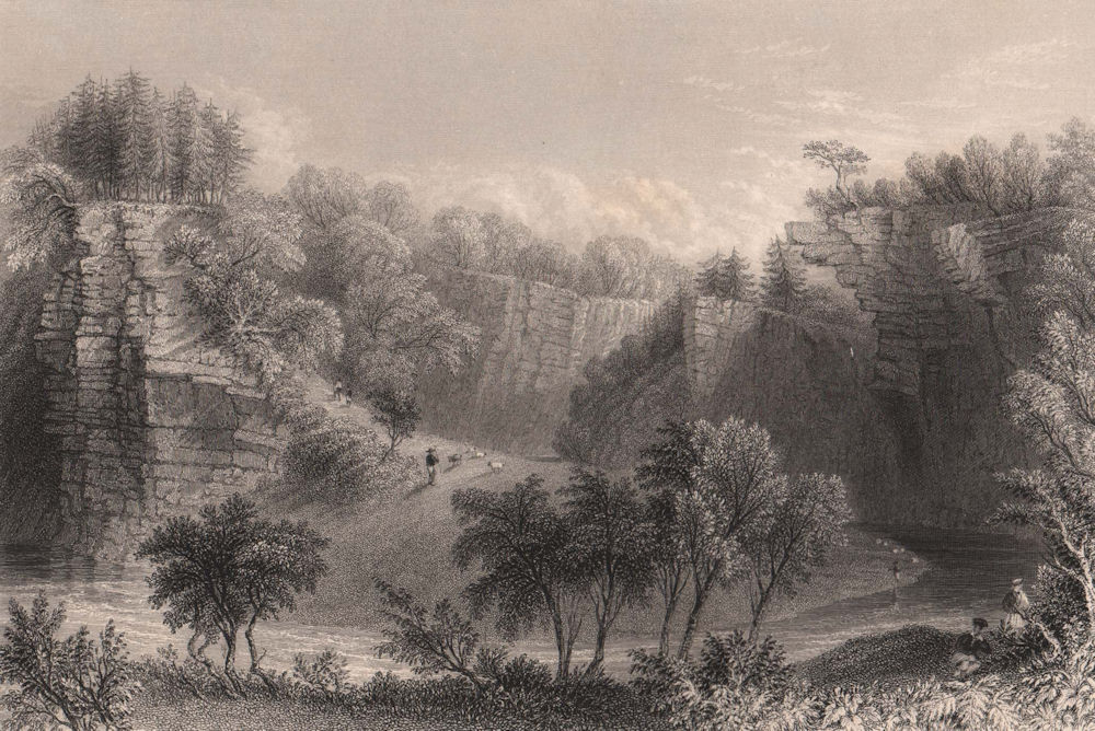 Banks of the water of Ayr. Near Ballochmyle. Scotland. BARTLETT 1838 old print