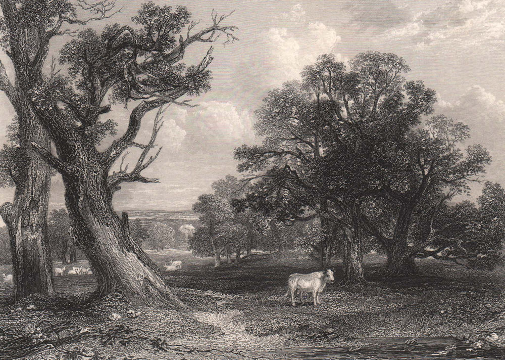 Scene in Cadzow Park. Lanark-shire. Scotland. MCCULLOCH 1838 old antique print