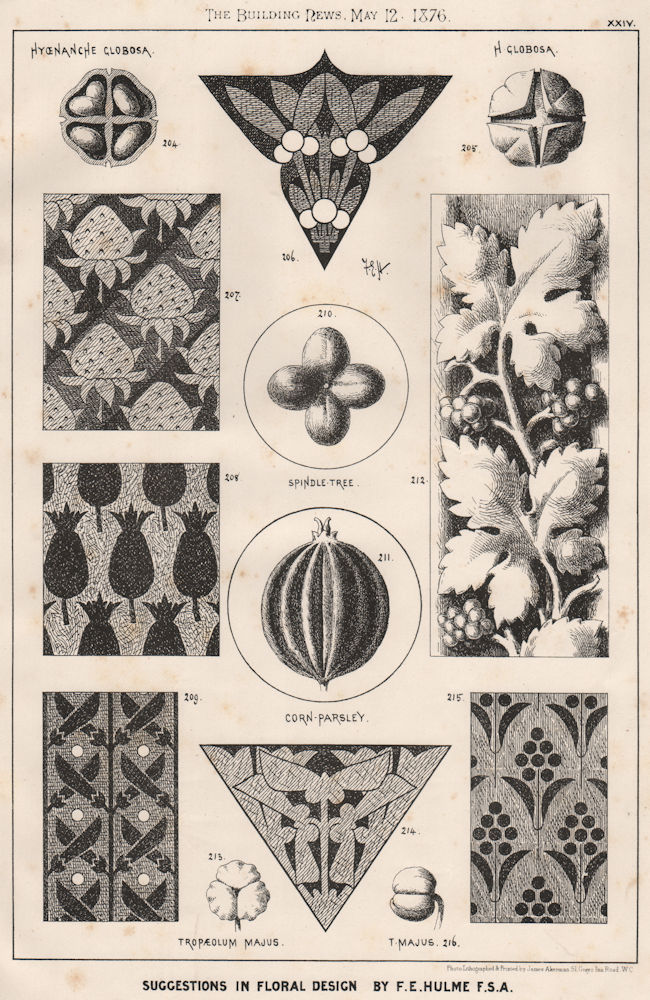 Associate Product Suggestions in Floral; design by F.E. Hulme F.S.A.. Botanical 1876 old print