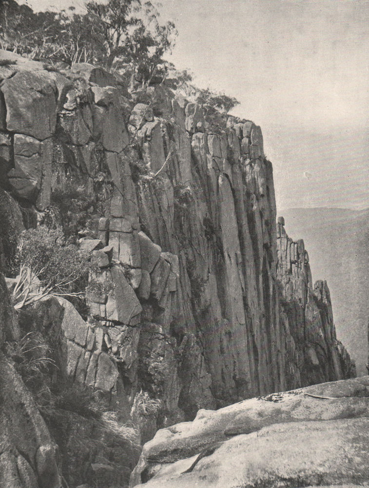 Buffalo Mountains. North side of gorge looking NE. Victoria, Australia 1908