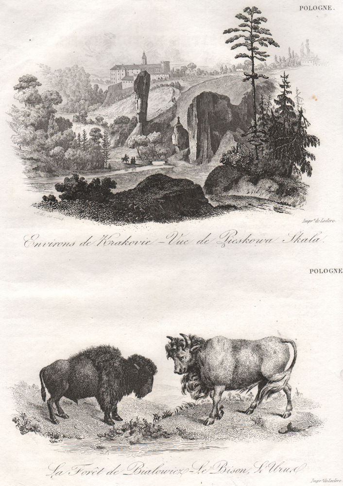 Pieskowa Skala, near Krakow/Cracow; Bialowieza Forest, bison.. Poland 1836