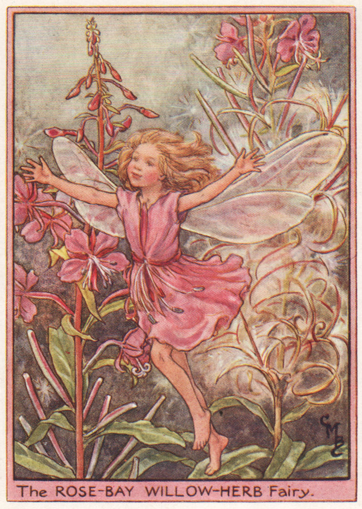 Associate Product Rose-bay Willow-herb Fairy by Cicely Mary Barker. Wayside Flower Fairies c1948