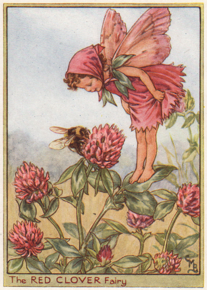 Red Clover Fairy by Cicely Mary Barker. Wayside Flower Fairies c1948 old print