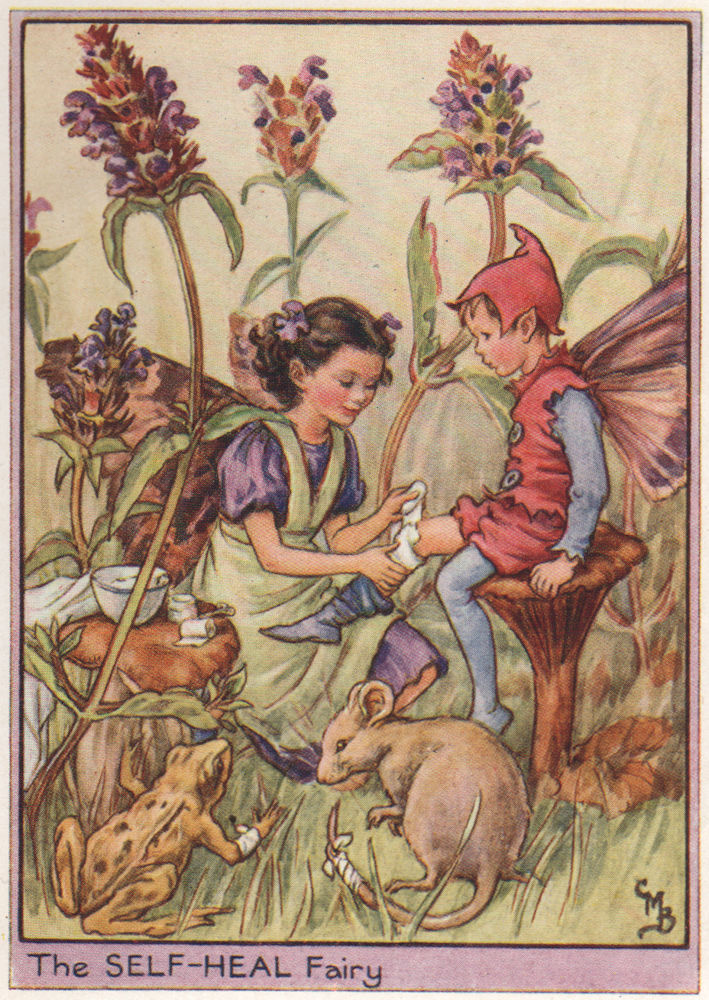 Self-Heal Fairy by Cicely Mary Barker. Wayside Flower Fairies c1948 old print