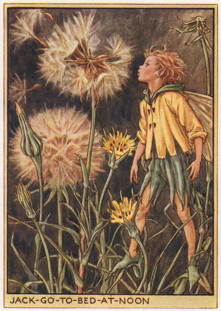 Associate Product Jack-go-to-bed-at-Noon by Cicely Mary Barker. Wayside Flower Fairies c1948
