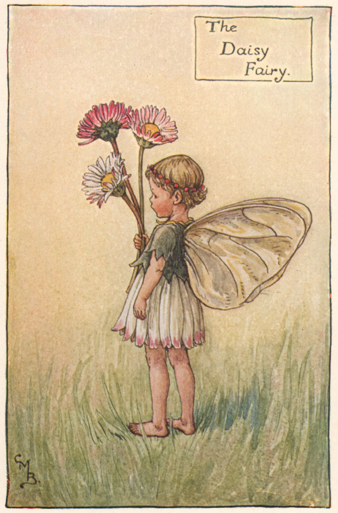 Daisy Fairy by Cicely Mary Barker. Spring Flower Fairies c1935 old print