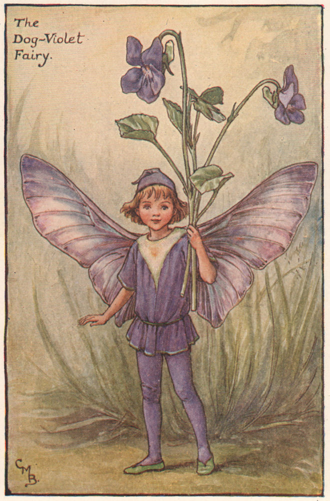 Dog-Violet Fairy by Cicely Mary Barker. Spring Flower Fairies c1935 old print