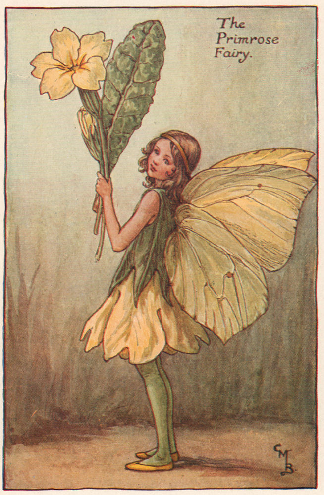 Primrose Fairy by Cicely Mary Barker. Spring Flower Fairies c1935 old print