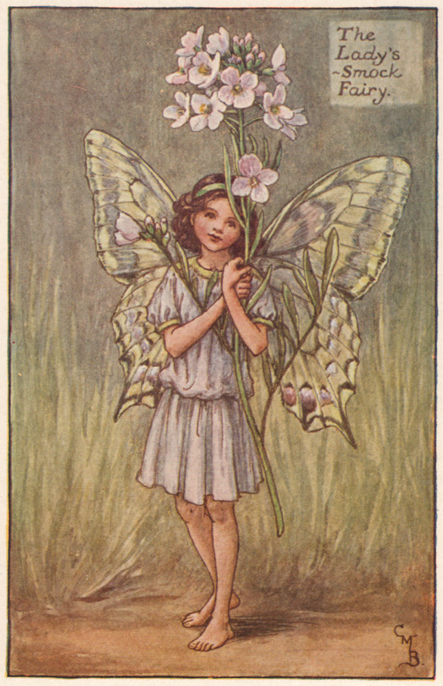 Associate Product Lady's-Smock Fairy by Cicely Mary Barker. Spring Flower Fairies c1935 print
