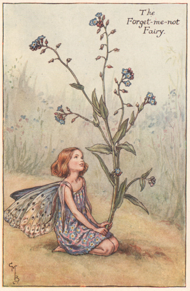 Associate Product Forget-me-not Fairy by Cicely Mary Barker. Summer Flower Fairies c1935 print