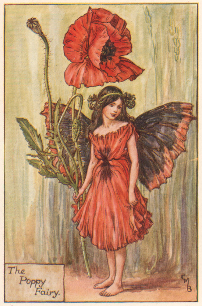 Poppy Fairy by Cicely Mary Barker. Summer Flower Fairies c1935 old print