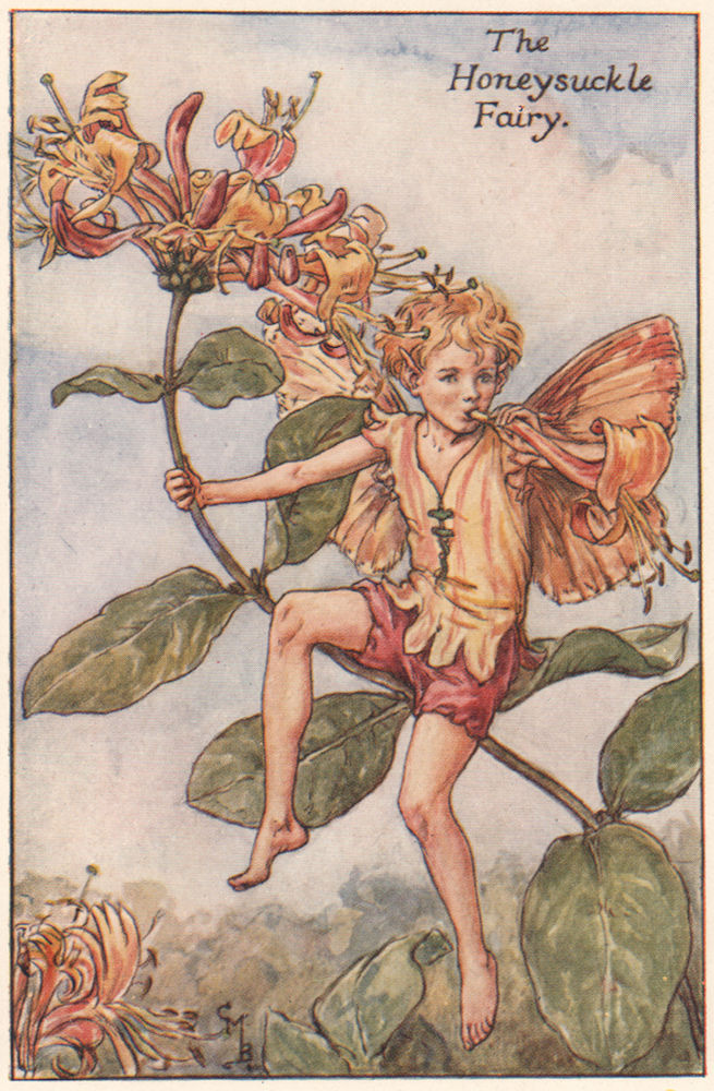 Associate Product Honeysuckle Fairy by Cicely Mary Barker. Summer Flower Fairies c1935 old print