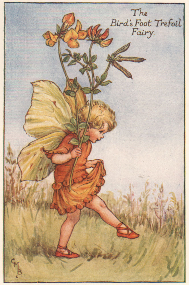 Associate Product Bird's Foot Trefoil Fairy by Cicely Mary Barker. Summer Flower Fairies c1935