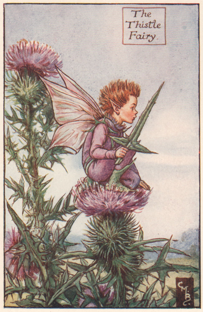 Thistle Fairy by Cicely Mary Barker. Summer Flower Fairies c1935 old print