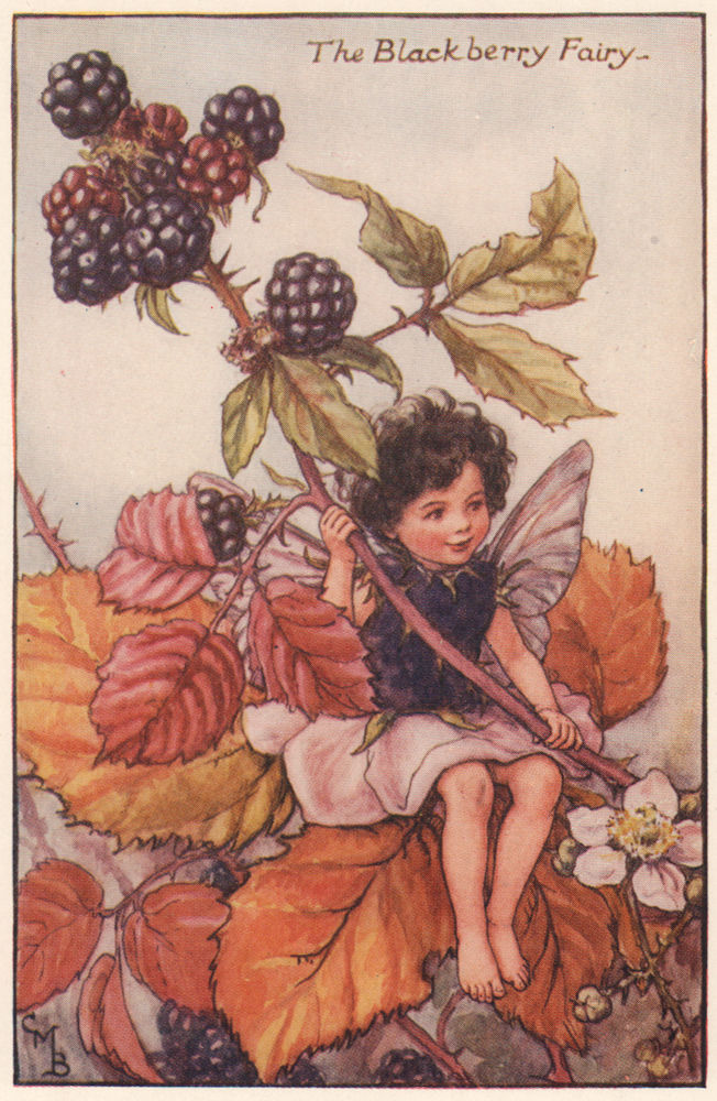 Associate Product Blackberry Fairy by Cicely Mary Barker. Autumn Flower Fairies c1935 old print