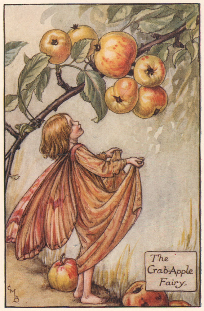 Associate Product Crab-Apple Fairy by Cicely Mary Barker. Autumn Flower Fairies c1935 old print