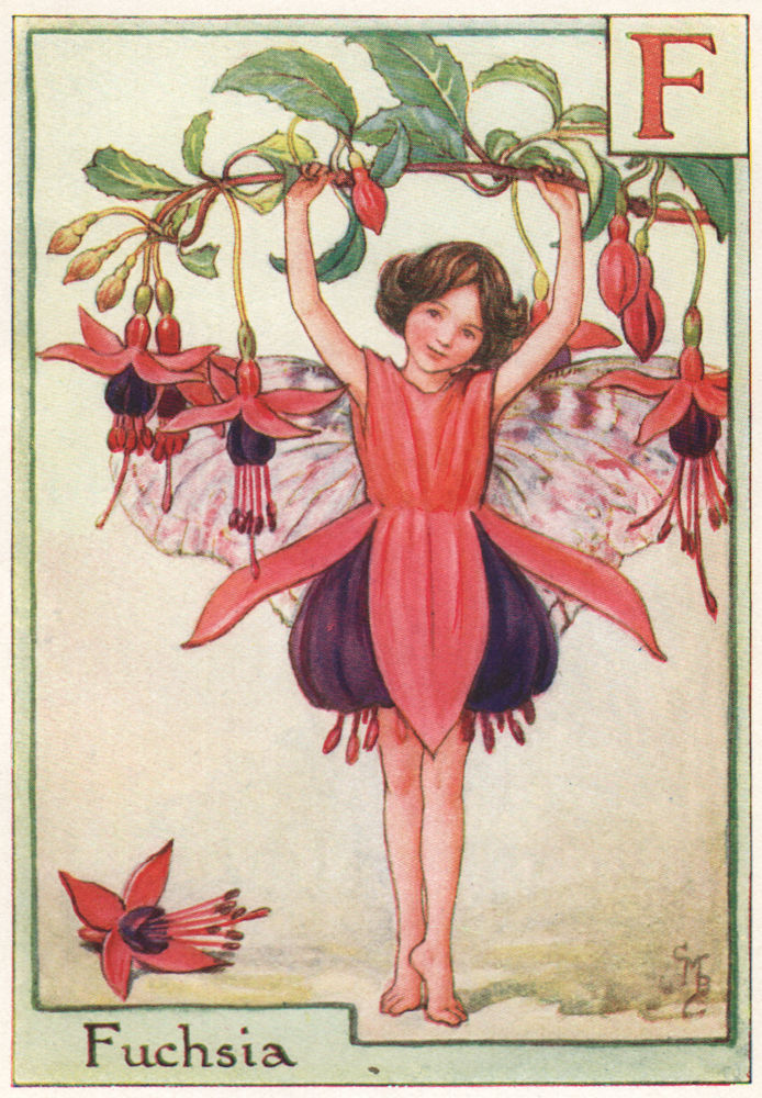 F = Fuchsia Fairy by Cicely Mary Barker. Alphabet Flower Fairies c1934 print