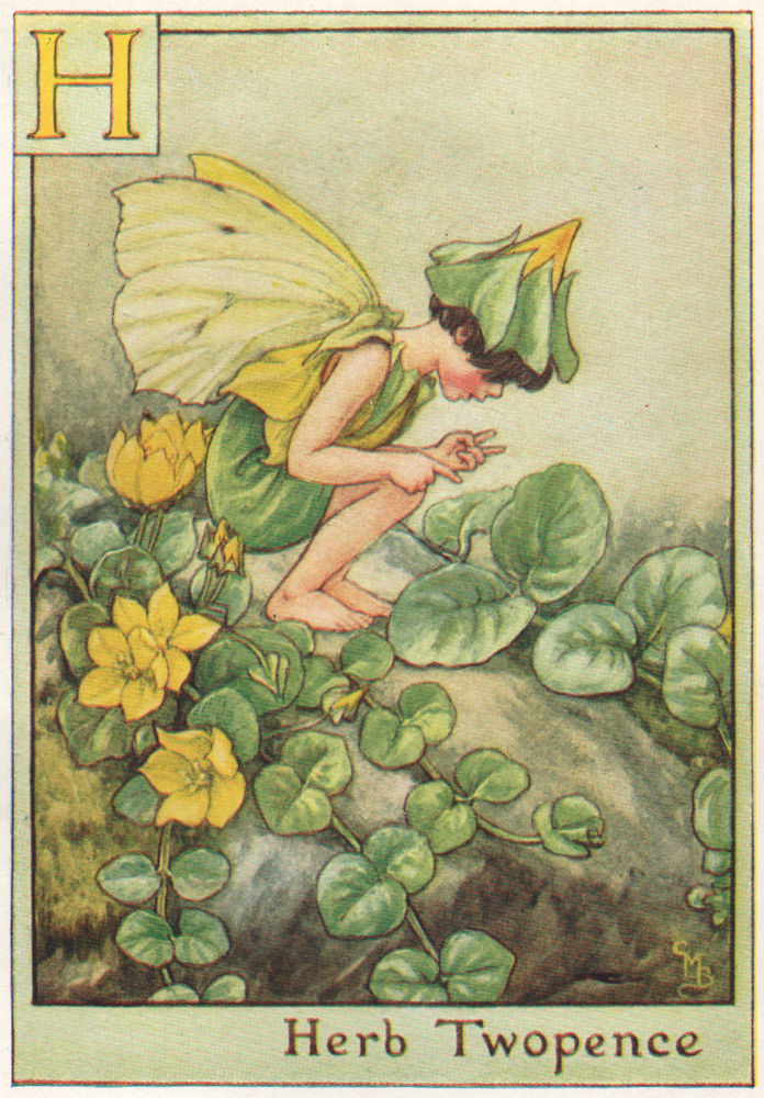 Associate Product H = Herb Twopence Fairy by Cicely Mary Barker. Alphabet Flower Fairies c1934