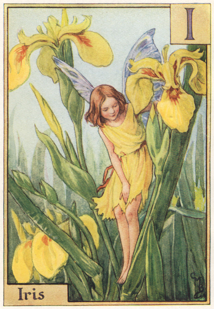 I = Iris Fairy by Cicely Mary Barker. Alphabet Flower Fairies c1934 old print