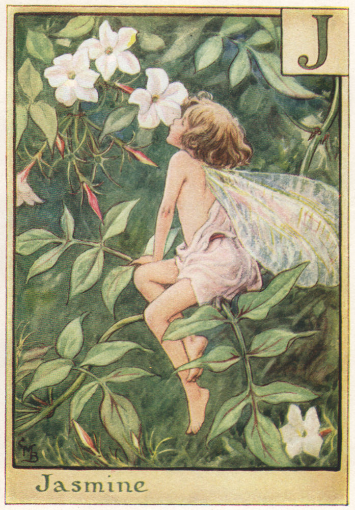 J = Jasmine Fairy by Cicely Mary Barker. Alphabet Flower Fairies c1934 print