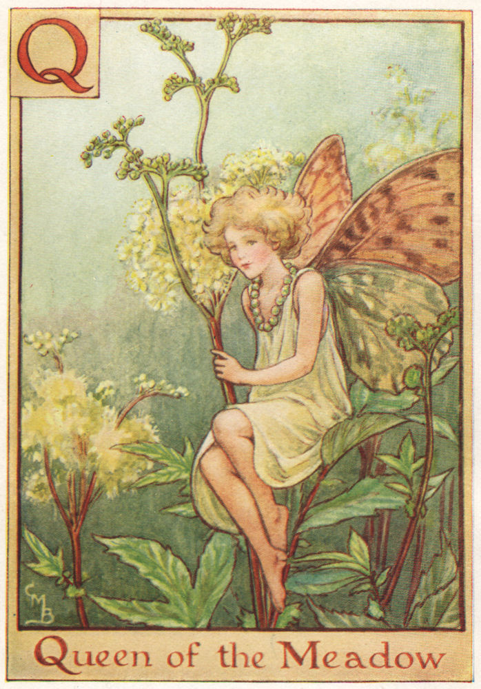 Associate Product Q = Queen of the Meadow Fairy. Cicely Mary Barker. Alphabet Flower Fairies c1934