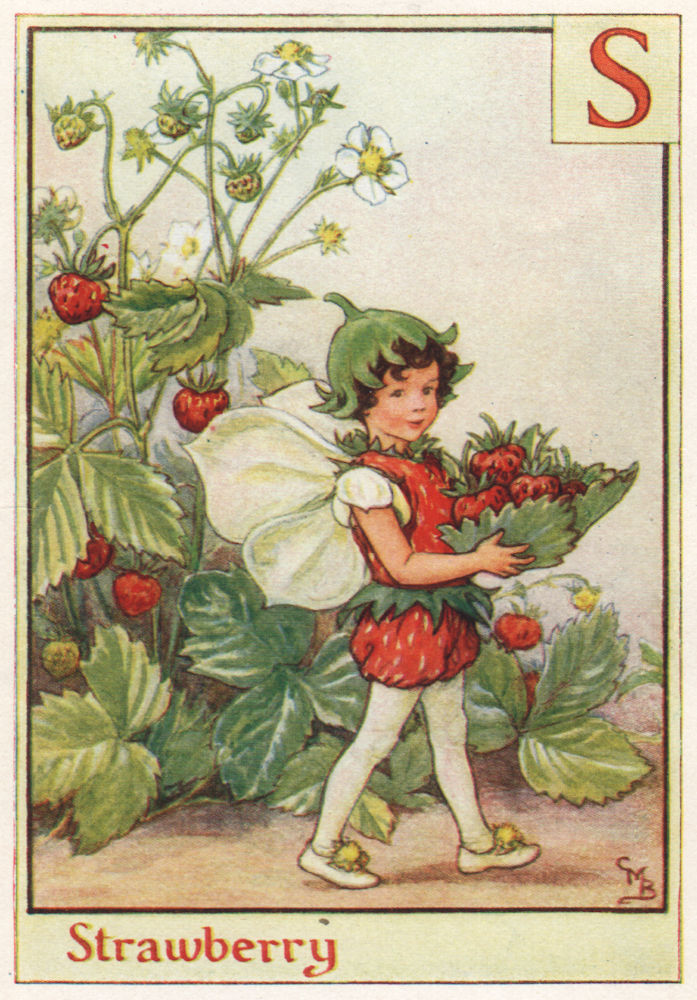S = Strawberry Fairy by Cicely Mary Barker. Alphabet Flower Fairies c1934