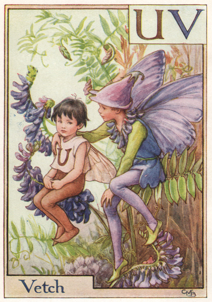 Alphabet Flower Fairies c1934 old print B = Bugle Fairy by Cicely Mary Barker 