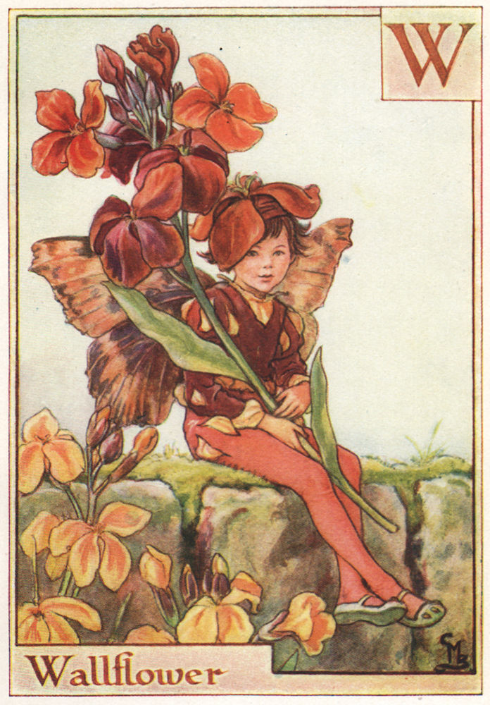 Associate Product W = Wallflower Fairy by Cicely Mary Barker. Alphabet Flower Fairies c1934