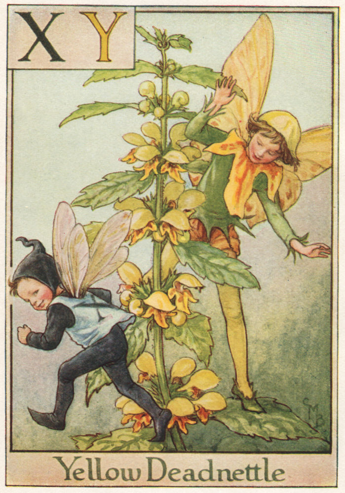 Associate Product XY = Yellow Deadnettle Fairy. Cicely Mary Barker. Alphabet Flower Fairies c1934