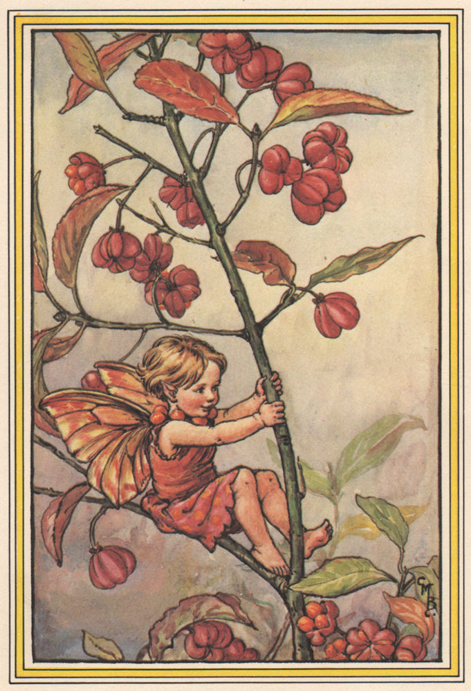 Spindle Berry Fairy by Cicely Mary Barker. Winter Flower Fairies 1985 print