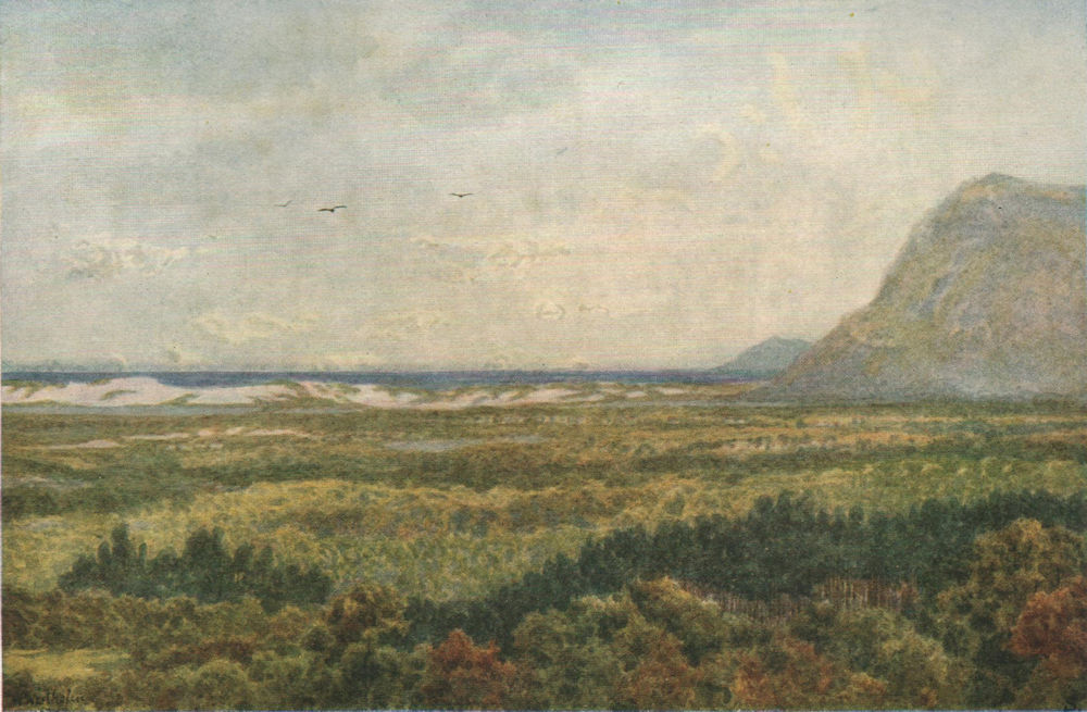 Constantia Valley, False Bay & Cape Point, Cape Town, by W. Westhofen 1910