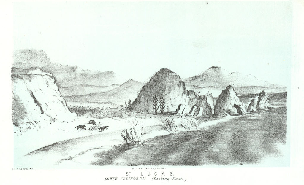 'St. Lucas, Lower California'. Cabo San Lucas E, Baja California. Cooper 1853