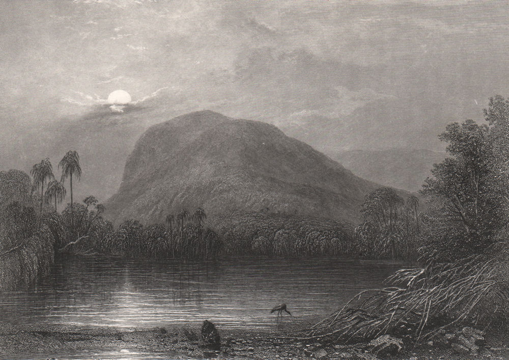 "Fairy Lake, New South Wales", by E.C. BOOTH/J.S. PROUT. NSW, Australia c1874