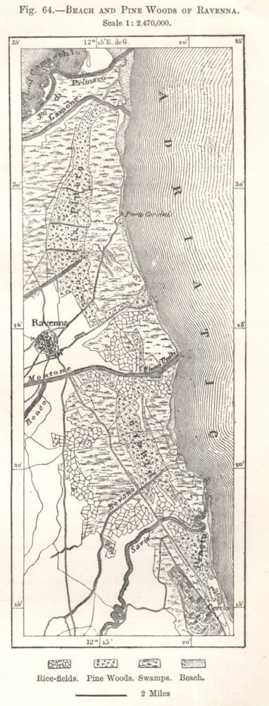 Beach and Pine Woods of Ravenna. Italy. Sketch map 1885 old antique chart