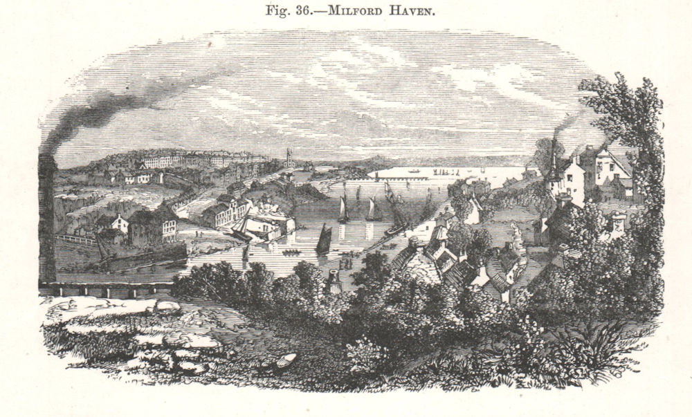 Milford Haven. Pembrokeshire 1885 old antique vintage print picture