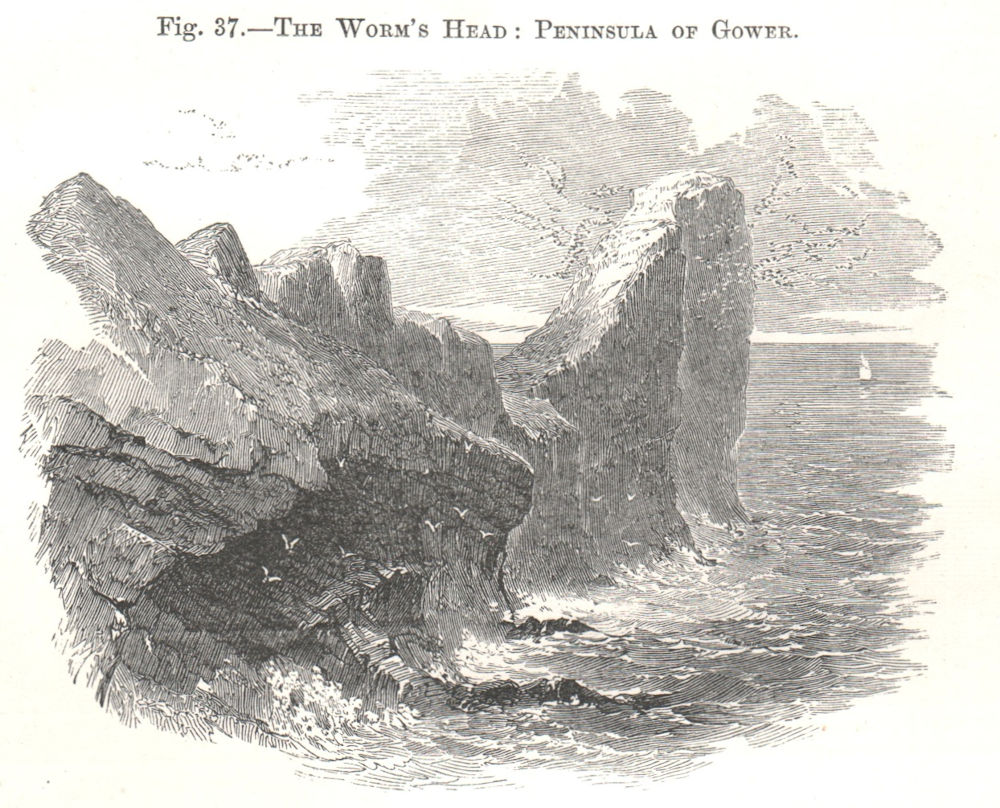 The Worm's Head: Peninsula of Gower. Wales 1885 old antique print picture