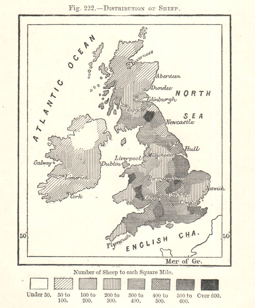 Distribution of Sheep. British Isles. Sketch map 1885 old antique chart