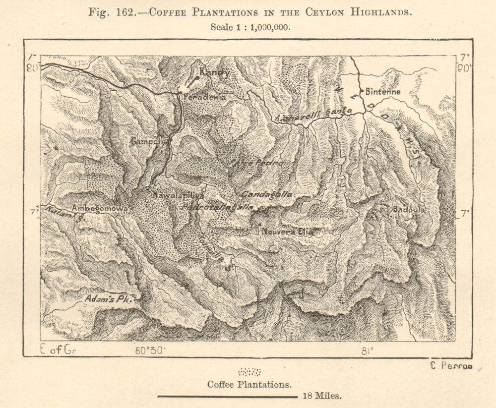Coffee Plantations in the Ceylon Highlands. Kandy. Sri Lanka. Sketch map 1885