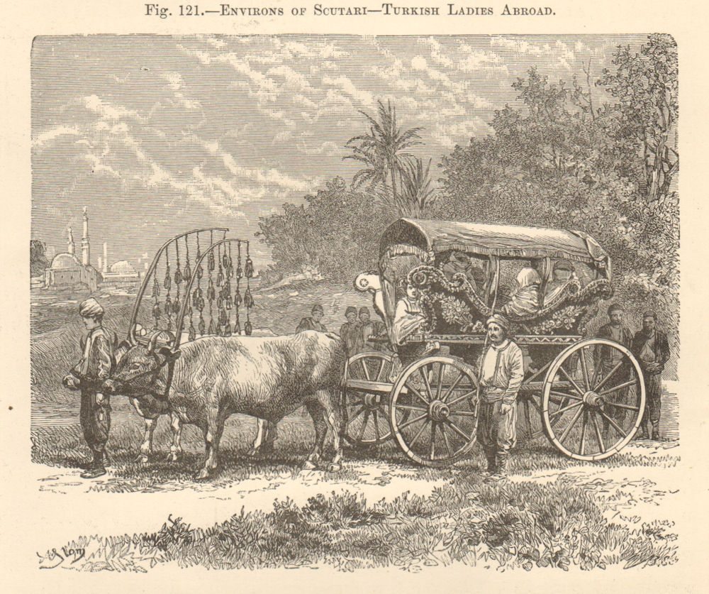 Associate Product Scutari. Turkish Ladies in a carriage. Uskudar, Istanbul. Turkey. Transport 1885
