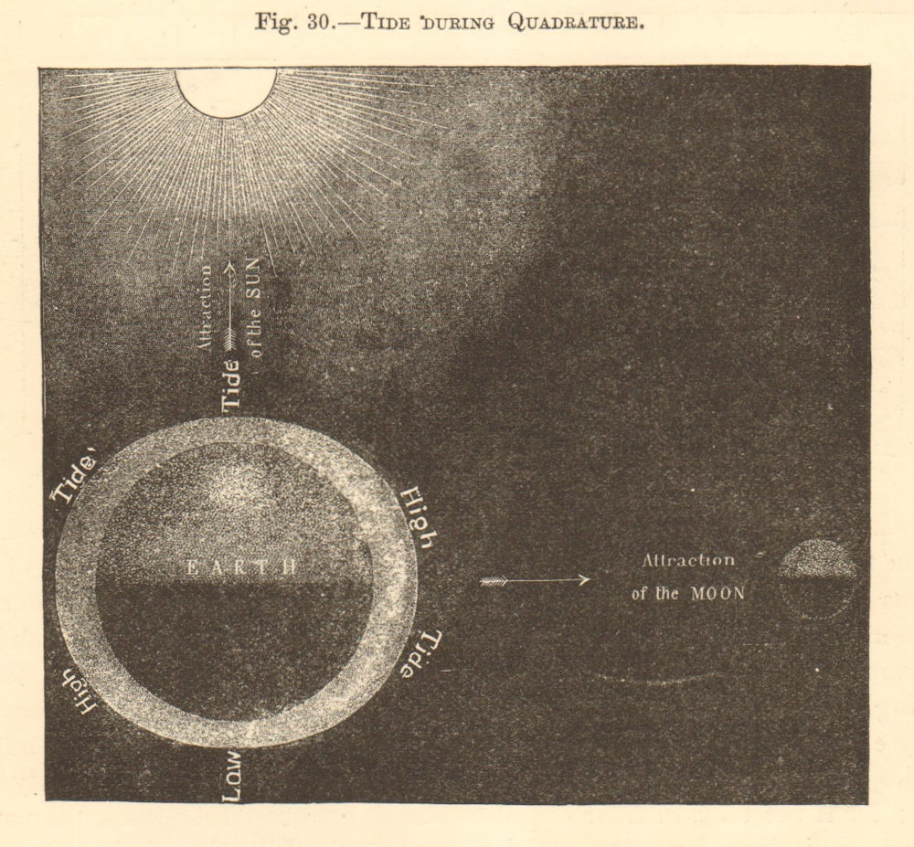 Tide during Quadrature. Astronomy 1886 old antique vintage print picture