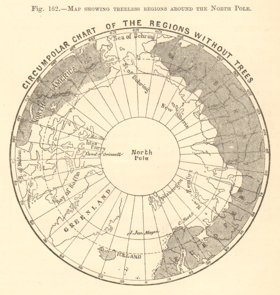 Associate Product Map showing treeless regions around the North Pole. Arctic. Sketch map 1886