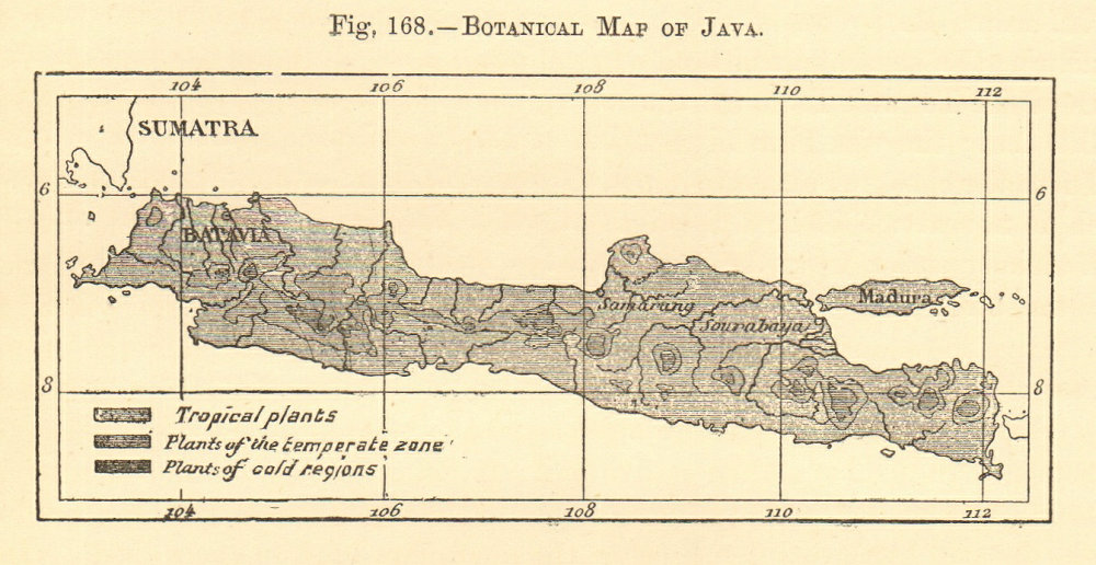 Associate Product Botanical map of Java. Indonesia. SMALL sketch map 1886 old antique chart